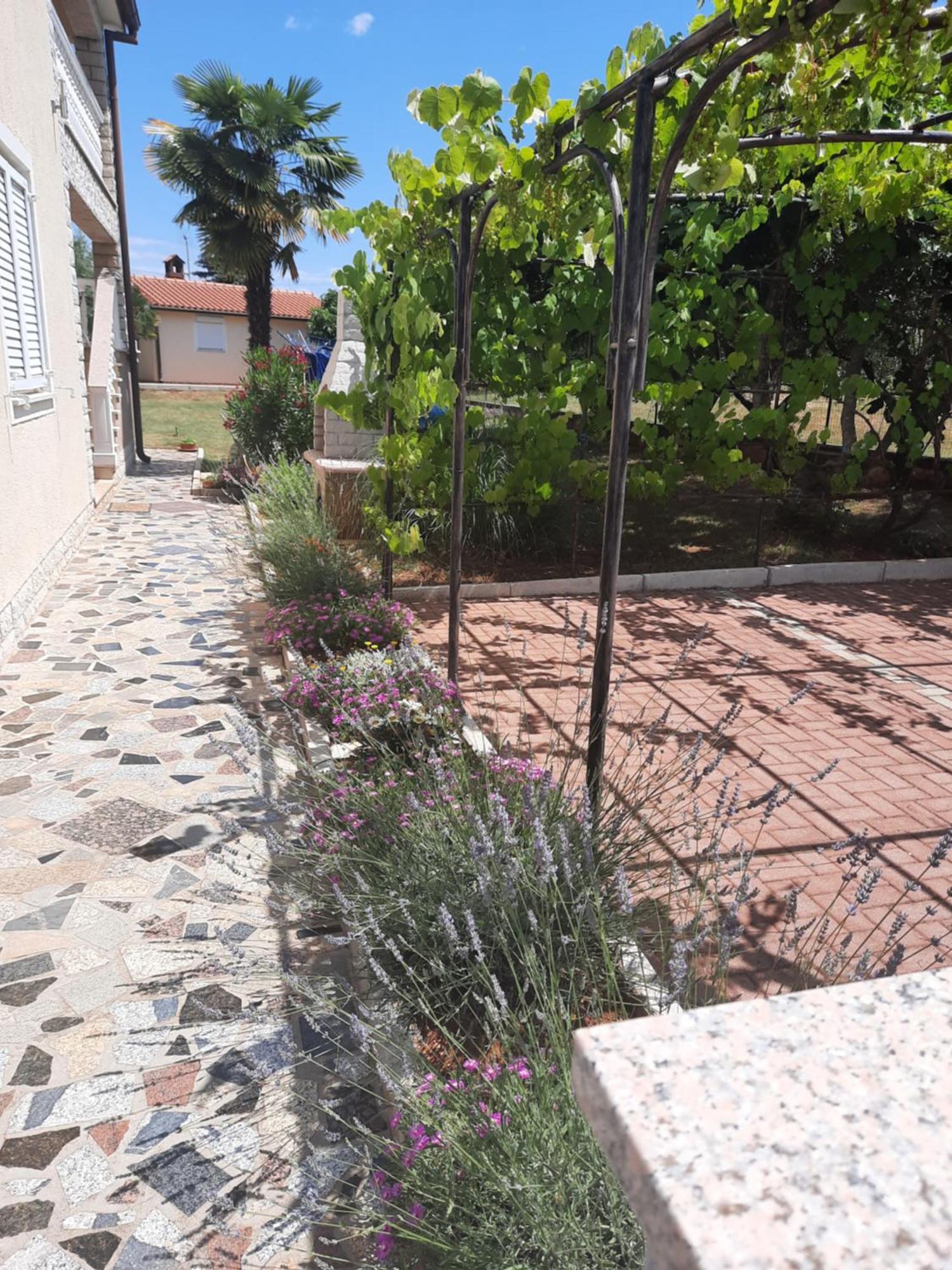Apartments Marinela Porec Bilik gambar